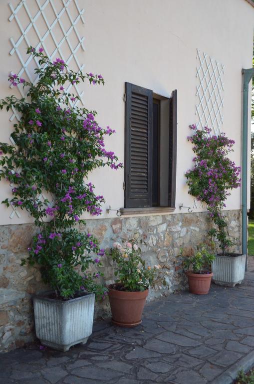 Agriturismo Masseto Hotel Campiglia Marittima Camera foto